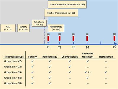 Longitudinal Changes in Circulating Metabolites and Lipoproteins After Breast Cancer Treatment